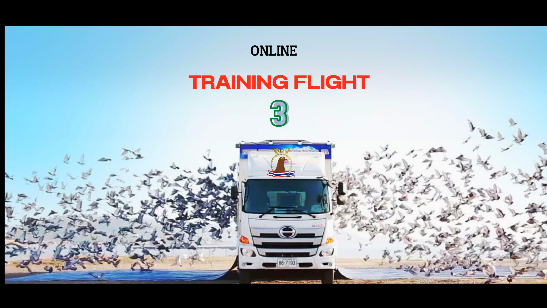 Training Flight: 3 CANCELLED